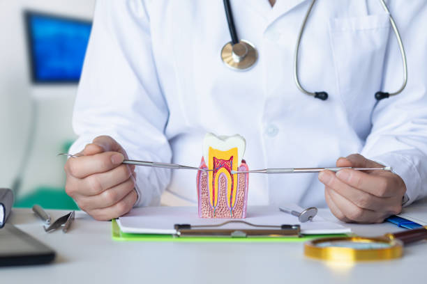 Best Urgent Care for Lost Fillings or Crowns in Lenape Heights, PA